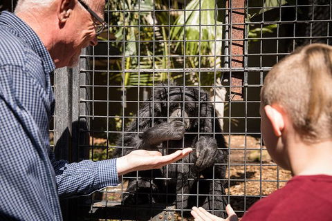 Adelaide Zoo Behind The Scenes Experience: Meet The Primates - Accommodation Gladstone 1