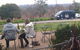 Enjoy The Barossa On A Budget - thumb 0