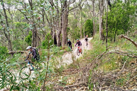 Mount Lofty Descent Bike Tour From Adelaide - Accommodation Gladstone 5