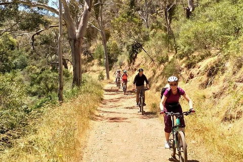 Mount Lofty Descent Bike Tour From Adelaide - Accommodation Gladstone 3