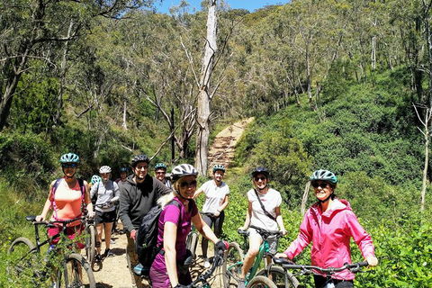 Mount Lofty Descent Bike Tour From Adelaide - Accommodation Gladstone 2