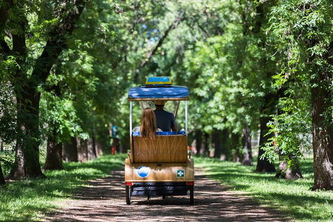 Adelaide 90-Minute Pedicab Tour: Scenic Green & River Experience - Accommodation Gladstone 0