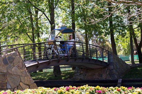 Adelaide 90-Minute Pedicab Tour: Scenic Green & River Experience - Accommodation Gladstone 5