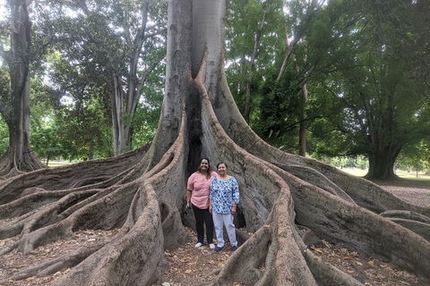 A Taste Of Adelaide And Hahndorf By Car Private Tour. - Accommodation Gladstone 11