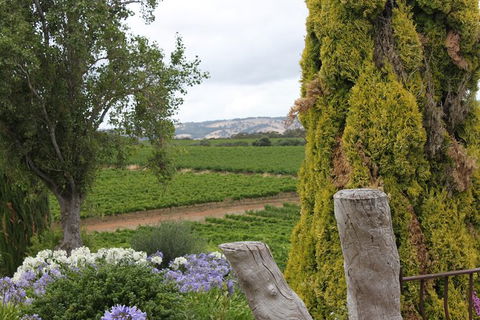 Private McLaren Vale Wine Region Tour From Adelaide - Accommodation Gladstone 5