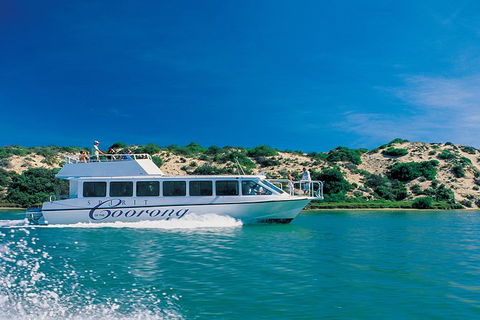 Murray Mouth Cruise - Accommodation Gladstone 6