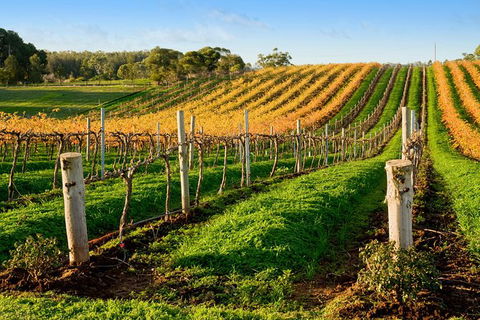 Victor Harbor With McLaren Vale Wine Region Tour From Adelaide - Accommodation Gladstone 0