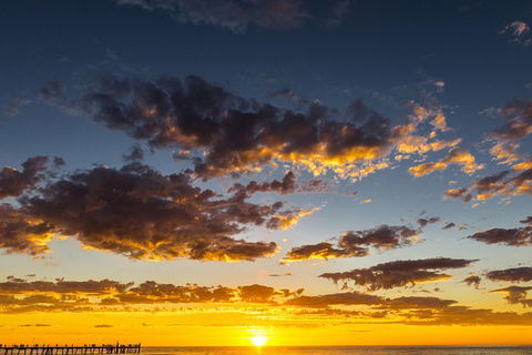 Adelaide Ocean Safari - Twilight Safari - Accommodation Gladstone 1