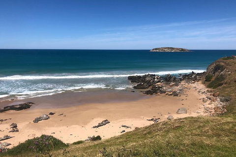 Fleurieu Explorer 3 Day 2 Night Cycle Camping Self Guided Tour - Accommodation Gladstone 6