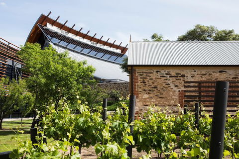 Australian Wine Discovery Tour With Tastings - Accommodation Gladstone 6