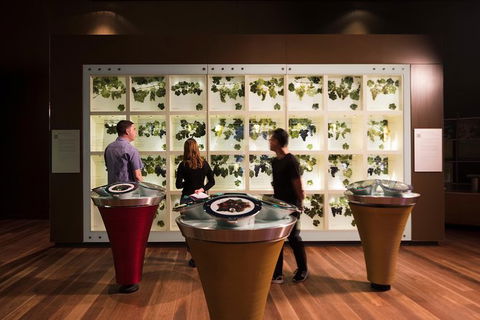 Australian Wine Discovery Tour With Tastings - Accommodation Gladstone 5