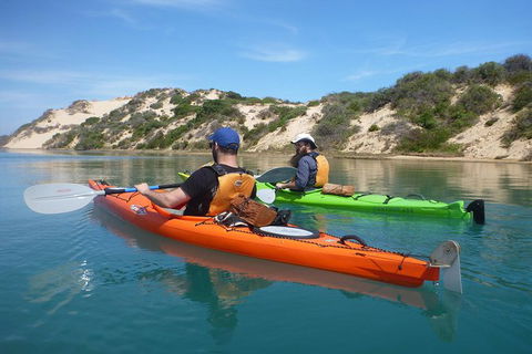 2-Day Deep Creek And Coorong Camping, Hiking And Kayaking Tour - Accommodation Gladstone 0