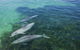 2-Day Exclusive Adelaide Bird And Dolphin Sanctuary Glamping Tour - thumb 1