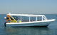 Adelaide Ocean Safari - Wild Dolphin Safari - thumb 0