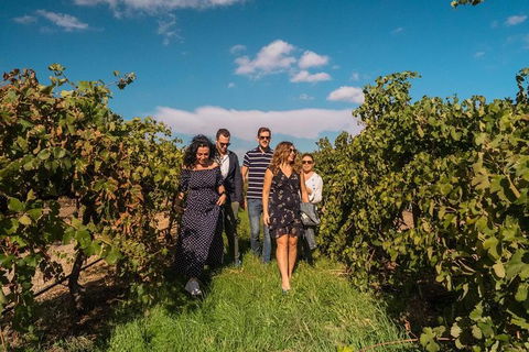 Barossa Valley Private Tour (from 2 To 11 People) - Accommodation Gladstone 1