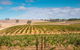 Barossa Valley Private Tour (from 2 To 11 People) - thumb 7