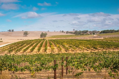 Barossa Valley Private Tour (from 2 To 11 People) - Accommodation Gladstone 7
