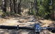 Mt Lofty Wine Wheels & Wildlife - thumb 1