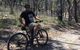 Mt Lofty Wine Wheels & Wildlife - thumb 7