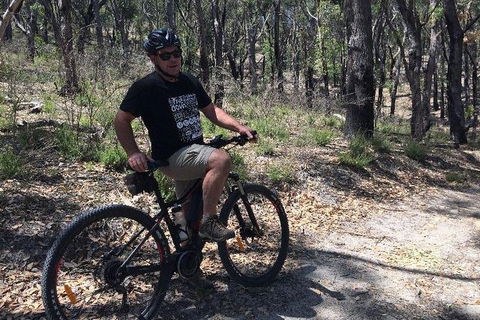 Mt Lofty Wine Wheels & Wildlife - Accommodation Gladstone 7