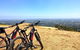 Mt Lofty Wine Wheels & Wildlife - thumb 3