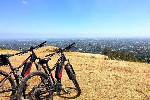 Mt Lofty Wine Wheels & Wildlife - Accommodation Gladstone 3