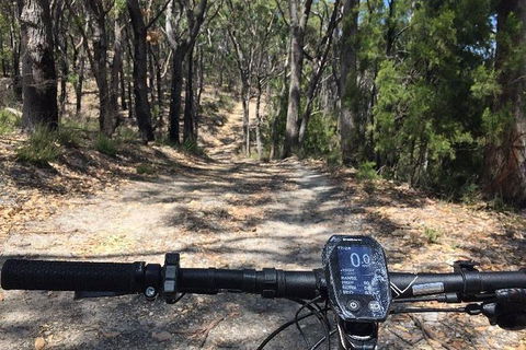 Mt Lofty Wine Wheels & Wildlife - Accommodation Gladstone 5