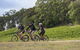 Mt Lofty Wine Wheels & Wildlife - thumb 4