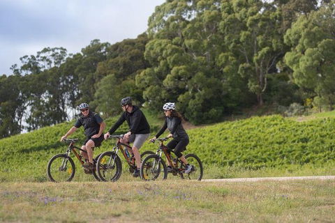 Mt Lofty Wine Wheels & Wildlife - Accommodation Gladstone 4