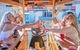 2 Hr - Public Individual Seat Tour & Drinks- Adelaide CBD - thumb 1