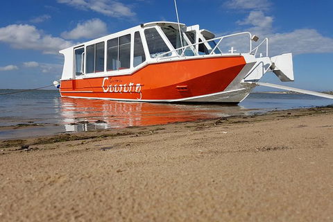 Coorong Highlights Cruise - Accommodation Gladstone 0