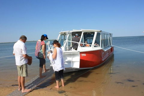 Coorong Highlights Cruise - Accommodation Gladstone 6