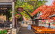 Private Tour 1-6 Passengers Wine Tasting & Or Sightseeing - thumb 11
