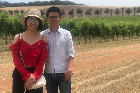 Private Tour 1-6 Passengers Wine Tasting & Or Sightseeing - Accommodation Gladstone 6