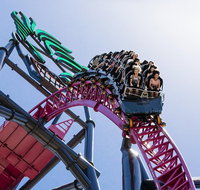 Gold Coast Theme Park Pass Warner Bros. Movie World Sea World and Wet'n'Wild - Accommodation Gladstone