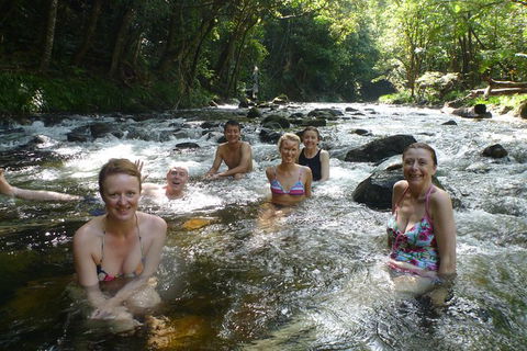 Daintree Rainforest, Cape Tribulation, Mossman Gorge In A Day - Accommodation Gladstone 10