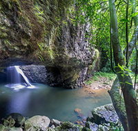 Springbrook andTamborine Rainforest Tour Incl Natural Bridge and Glow Worm Cave - Accommodation Gladstone