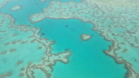 Reef And Island Scenic Flight From Airlie Beach - Accommodation Gladstone 3