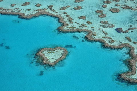 Reef And Island Scenic Flight From Airlie Beach - Accommodation Gladstone 7