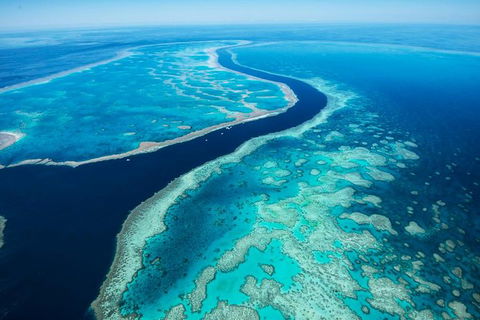 Fly & Cruise Package With Lunch - Accommodation Gladstone 6
