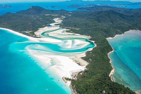 Fly & Cruise Package With Lunch - Accommodation Gladstone 5