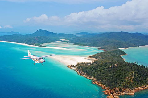 Fly & Cruise Package With Lunch - Accommodation Gladstone 9