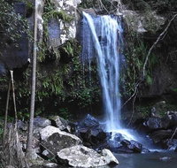 You Choose the Tour Brisbane Private Chauffeur Driven Personal Tour - Accommodation Gladstone