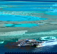 Great Barrier Reef Day Cruise to Reefworld - Accommodation Gladstone