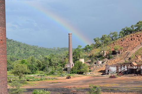 Daintree - Cape Tribulation & Atherton Tablelands Tours From Port Douglas - Accommodation Gladstone 30