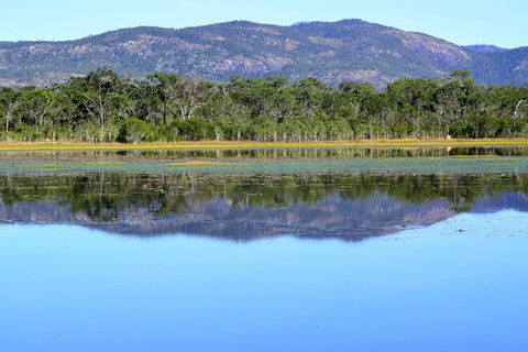Daintree - Cape Tribulation & Atherton Tablelands Tours From Port Douglas - Accommodation Gladstone 13