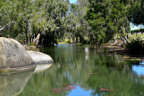 Daintree - Cape Tribulation & Atherton Tablelands Tours From Port Douglas - Accommodation Gladstone 28