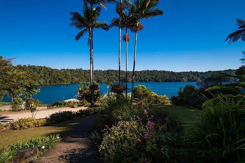 Daintree - Cape Tribulation & Atherton Tablelands Tours From Port Douglas - Accommodation Gladstone 25