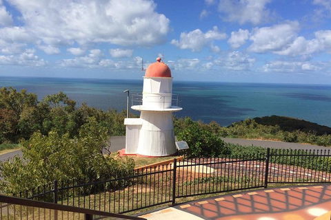 Daintree - Cape Tribulation & Atherton Tablelands Tours From Port Douglas - Accommodation Gladstone 21