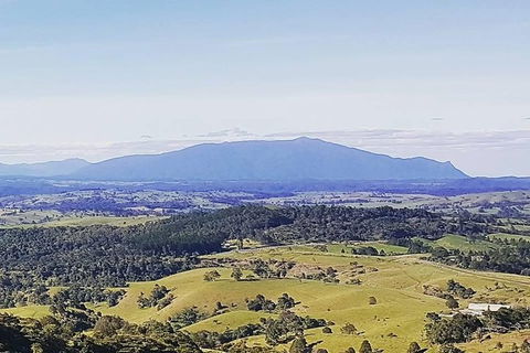 Daintree - Cape Tribulation & Atherton Tablelands Tours From Port Douglas - Accommodation Gladstone 10